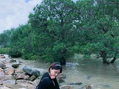 -宝安西湾红树林湿地公园