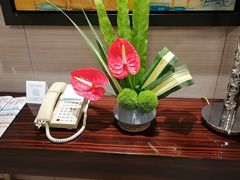 -厦门悦华酒店