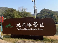 -桃花岭景区