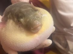 -永安鱼庄·镇江菜(丁卯店)