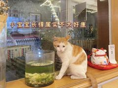 -正南齐北·老街糯米团(洪崖洞店)