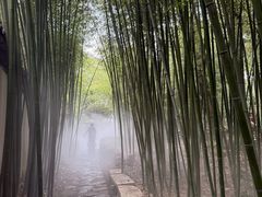 -竹泉村旅游度假区