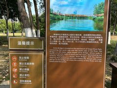 -滨湖塘西河公园