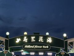-荷兰花海