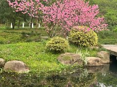 -杭州植物园