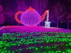 -青龙湖公园
