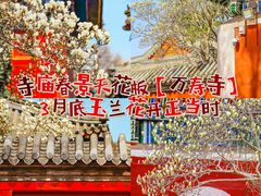 -北京艺术博物馆(万寿寺)