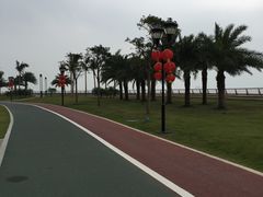 -野狸岛