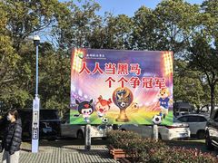 -溱湖国家湿地公园