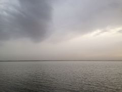 -哈素海