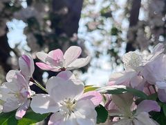 -元大都城垣遗址公园