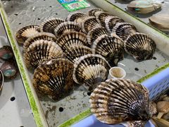 -大湾区中央湿地公园-十九涌