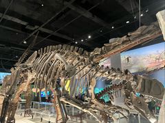 -国家自然博物馆