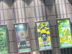 -bb boom运动闯关密室·聚会团建·家庭亲子(龙湖西溪天街店)