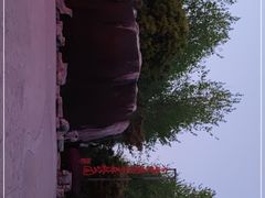 -合肥滨湖国家森林公园