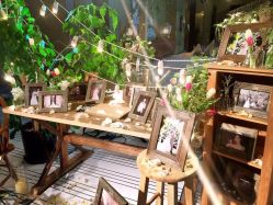 -DNA Wedding 婚礼记(上海店)