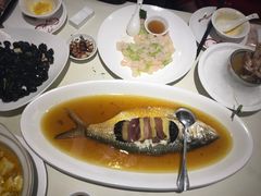 清蒸鲥鱼-圆苑(上海广场店)