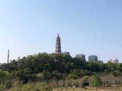 -顺峰山公园