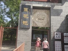 -莲花池公园