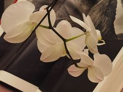 -二酉书店TOYOU BOOKS