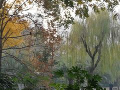 -苏州河梦清园环保主题公园