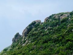 -白草畔自然风景区