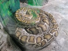 -西安秦岭野生动物园
