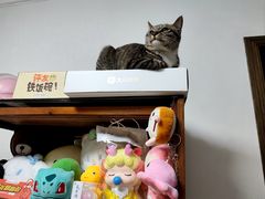 -海底捞火锅(之心城店)
