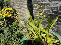 -烟桥私房菜馆(奋哥)