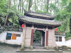 -南山植物园