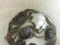 -小陆莲花蟹园农家乐(莲花岛店)