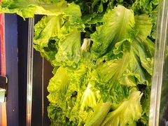 -秦炉烤肉(财富中心店)