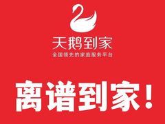 -天鹅到家·保姆月嫂育儿嫂(总店)