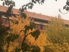 -东华门大街小区