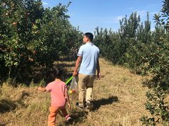 -万源龙顺度假庄园生态观光园