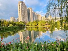 -沐仙湖湿地公园