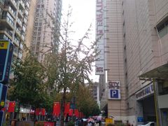 -猫域·湾主题猫咖·宠物吧(南坪城市广场店)