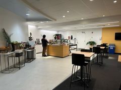 -约翰·菲茨杰拉德·肯尼迪国际机场