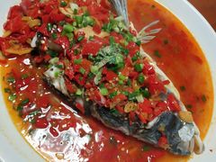 -全乐鱼馆·淳牌有机鱼直营店