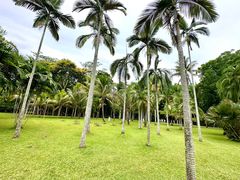 -中国科学院西双版纳热带植物园