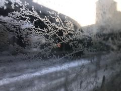 -乌鲁木齐市第一中学(健康校区)