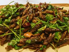 -饺子功·东北记忆·锅包肉(电厂路店)