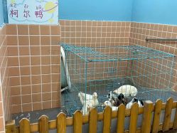 -Moni星球萌宠·小马宝莉·灵蛇·高端高阶全萌宠互动体验俱乐部(红豆国际广场店)