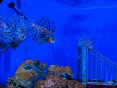 -太平洋海底世界