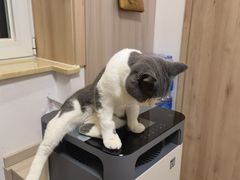 -纳吉亚猫专科动物医院·北北分院