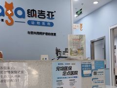 -纳吉亚猫专科动物诊疗中心(蒋宅口分院)