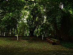 -大渡口区义渡公园