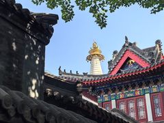 -西塔