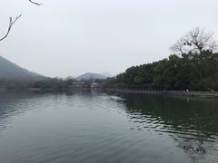 -西湖外事游船(花港观鱼码头)