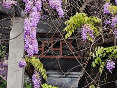 -郑和公园